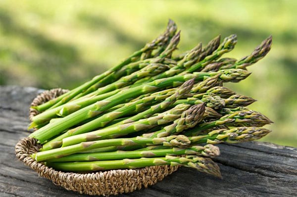 asperge